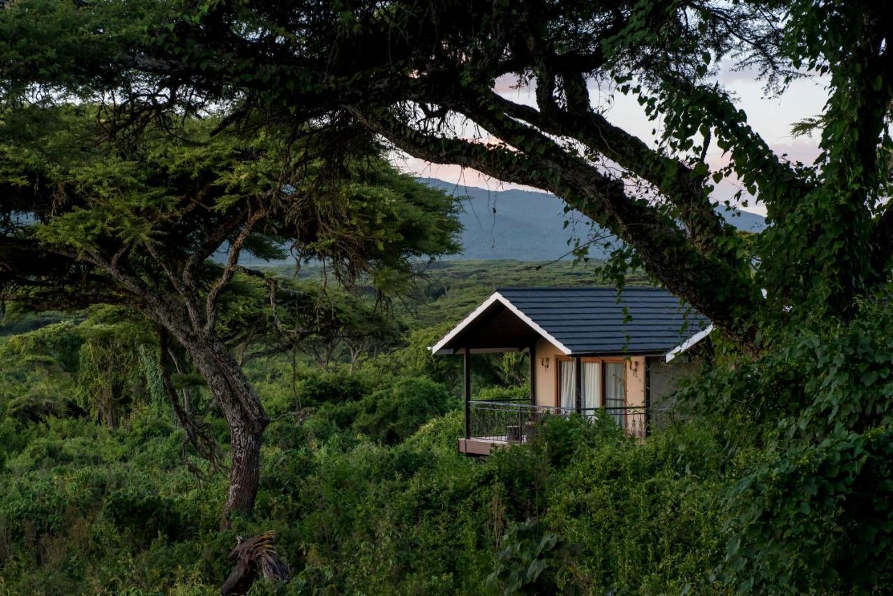 Lions Paw Ngorongoro Hotel Buitenkant foto