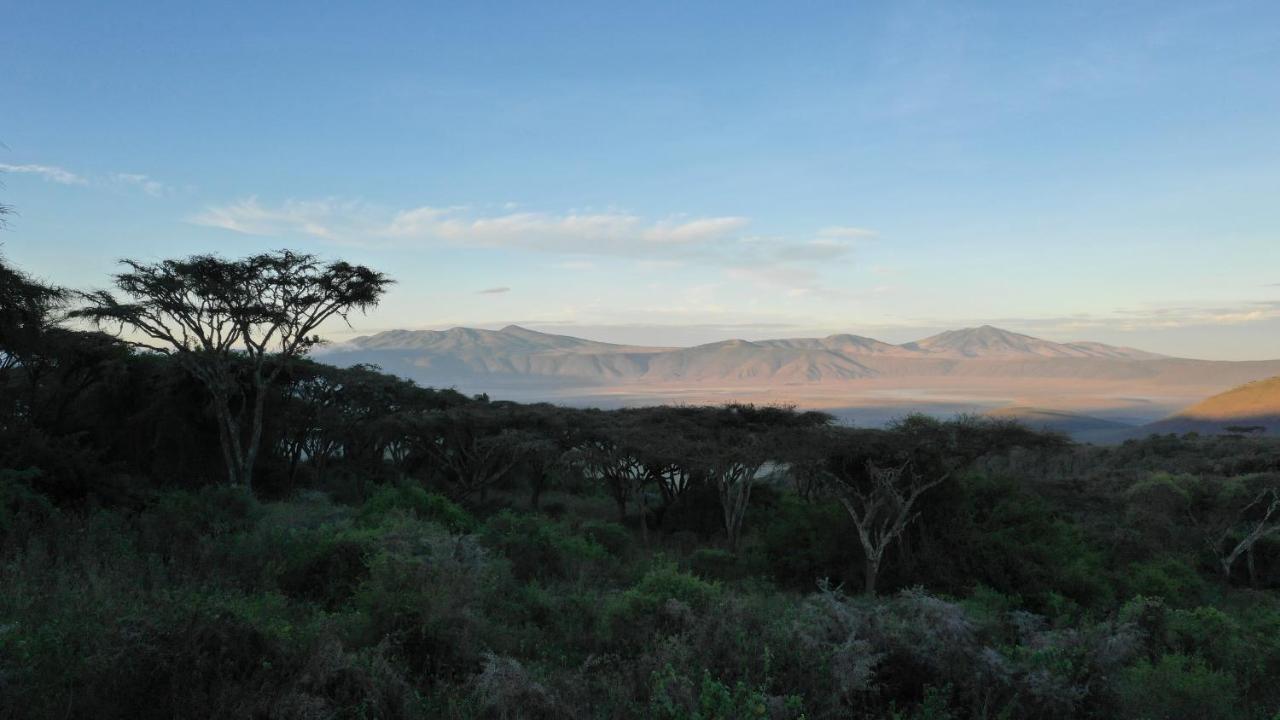 Lions Paw Ngorongoro Hotel Buitenkant foto